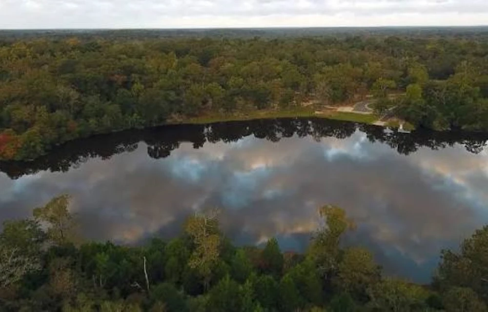 Fort Boggy State Park in Jewett Pictures